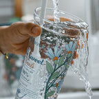Silicone Straw & High Borosilicate Clear Glass Summer Water Cup
