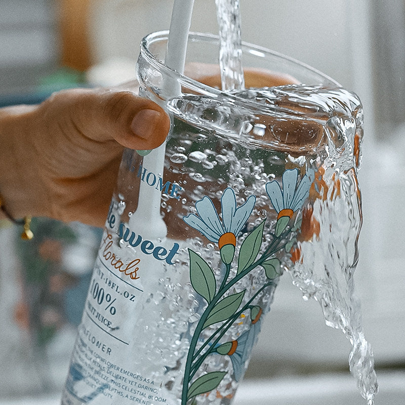 Silicone Straw & High Borosilicate Clear Glass Summer Water Cup