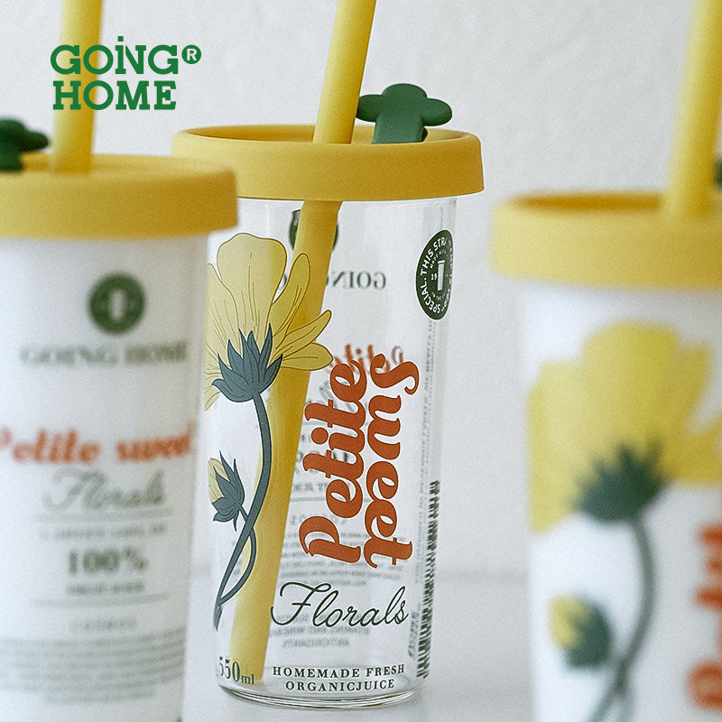 Silicone Straw & High Borosilicate Clear Glass Summer Water Cup