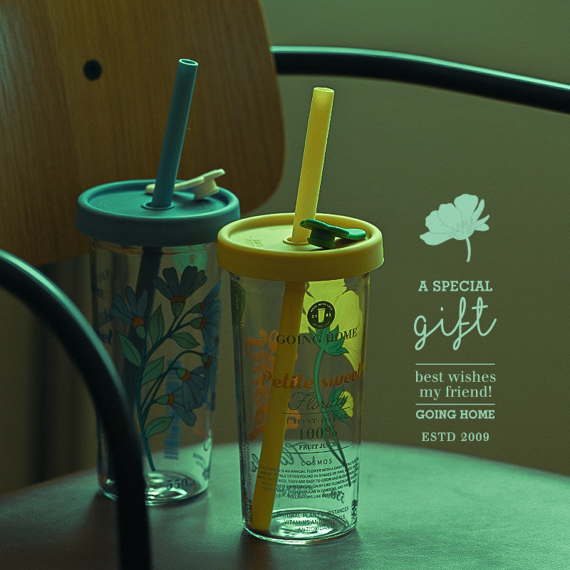 Silicone Straw & High Borosilicate Clear Glass Summer Water Cup