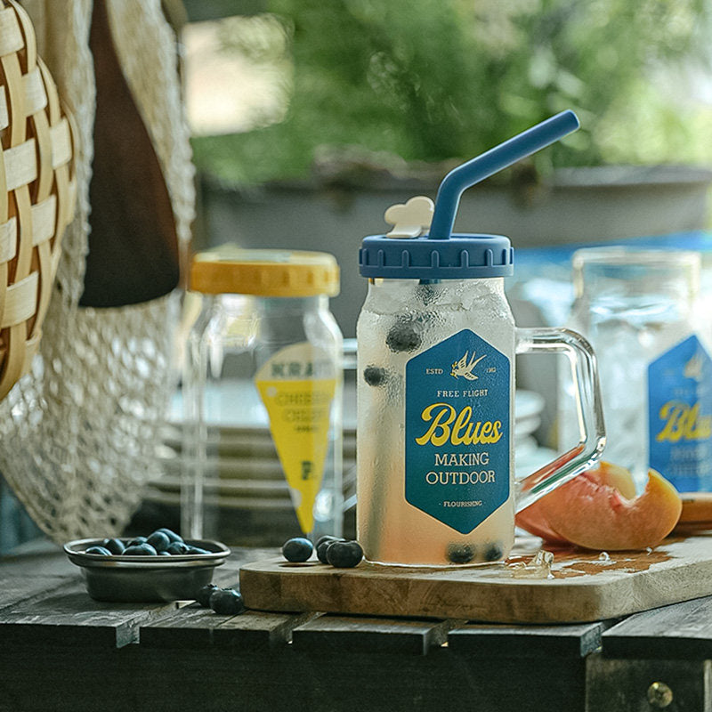 Glass Cup with Lid, Handle & Silicone Straw, Heat Resistant & Thickened
