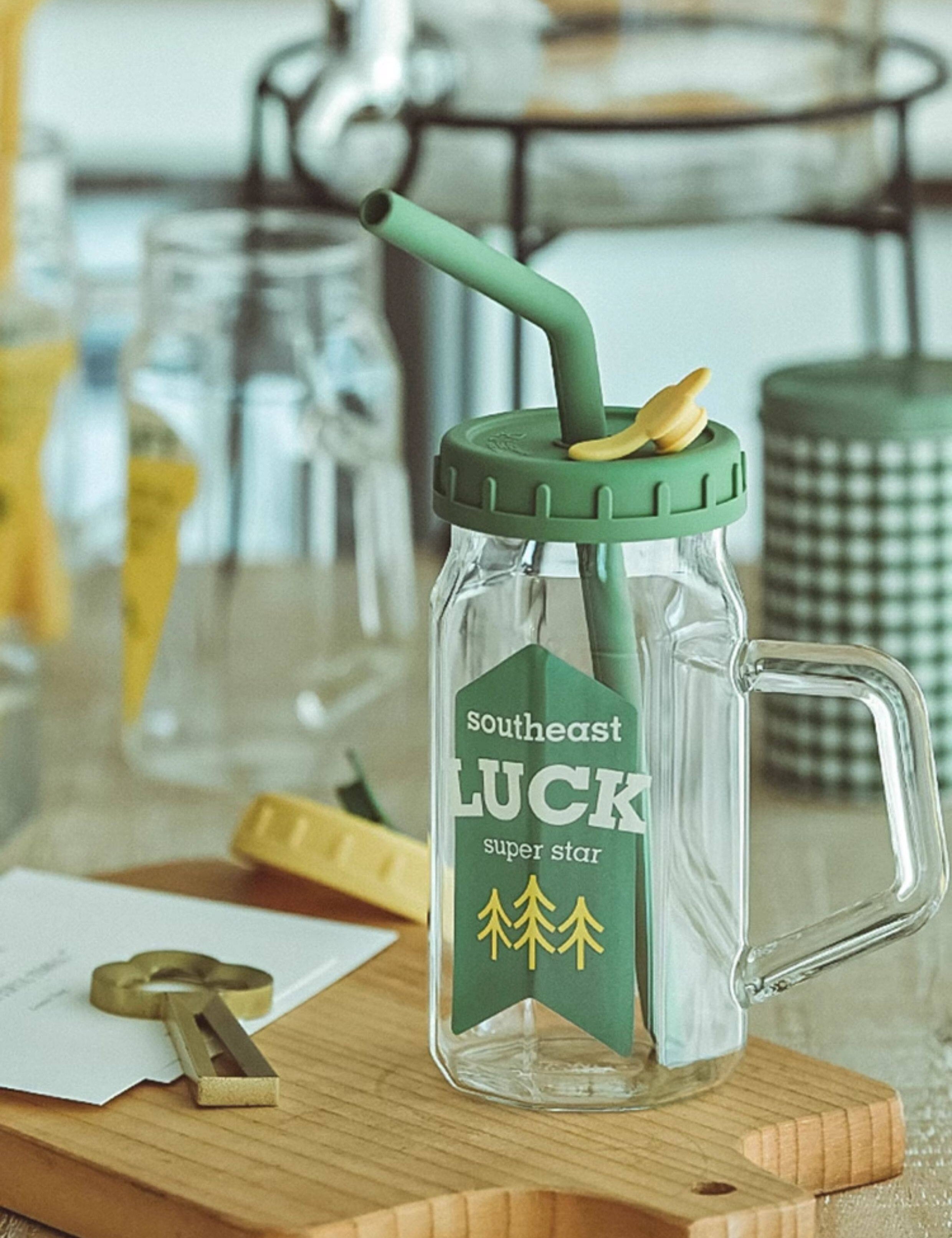 Glass Cup with Lid, Handle & Silicone Straw, Heat Resistant & Thickened