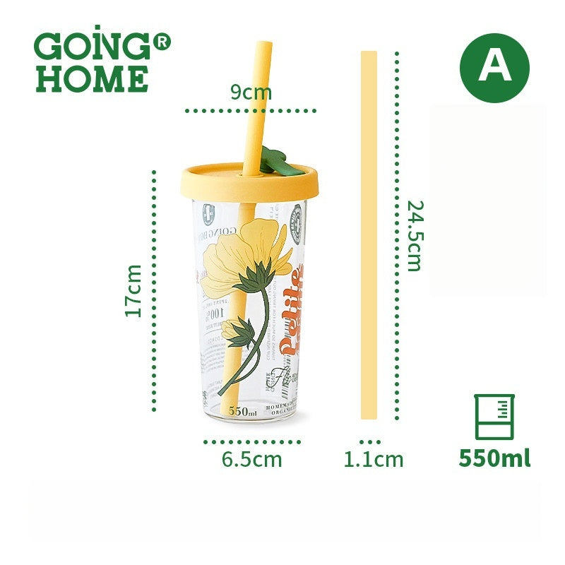 Silicone Straw & High Borosilicate Clear Glass Summer Water Cup